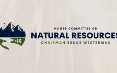 Committee Continues Probe into the Natural Asset Scheme